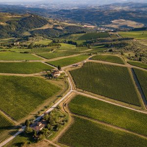 Tuscany winery